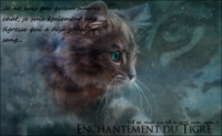 Enchantement du Tigre