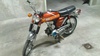 FS1 Orange (Baja Brown) Galler19