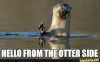 Just for a laugh Otters10