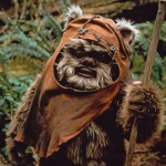 wicket