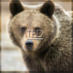 Ted00