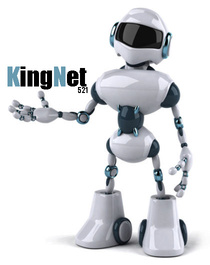 kingnet521