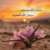 واحة القرآن الكريم و علومه 964-41