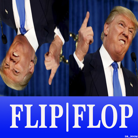 FliFlop