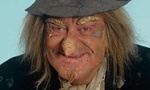 Wurzel