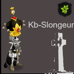 Kb-Slongeur