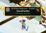 Vacabisette