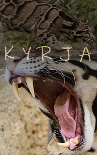 Kyrja