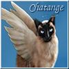 chatange