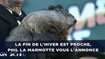 marmotte bn