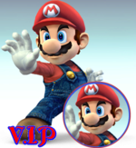 V.I.P