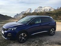 Peugeot 3008 modelo 2017 3466-60