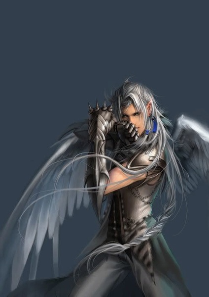 Salcor Lightwind, Scheming Half-angel Salcor10_800x600