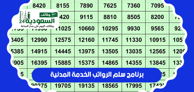 برنامج-سلم-الرواتب-الخدمة-المدنية