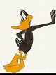 DAFFY