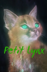 Petit Lynx