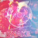 Znake