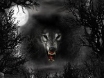 la noche del lobo