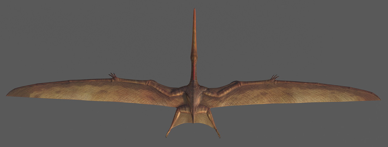 Default Pteranodon Skin