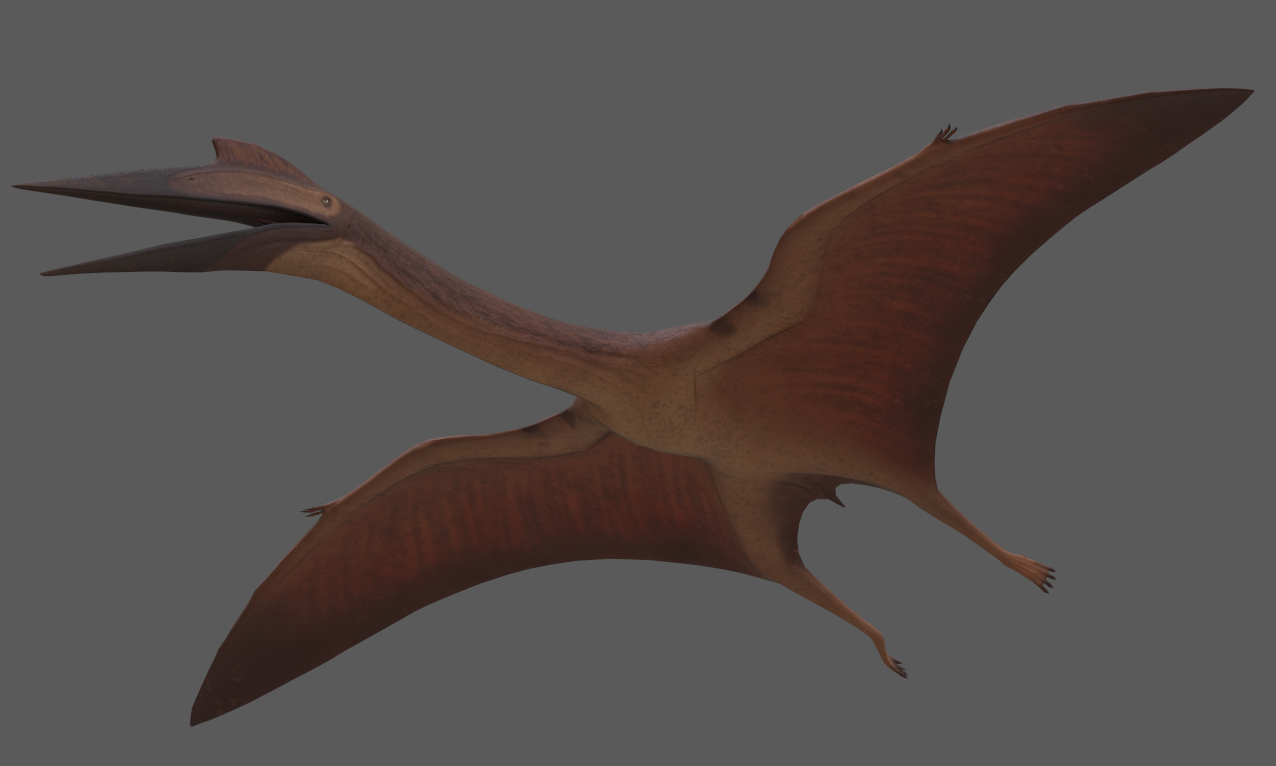 Red Quetzalcoatlus Skin