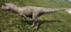 Official Albino Carnotaurus Skin