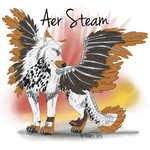 Aer Steam