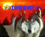 >>LONEWOLF<<