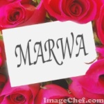 marwa