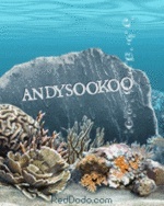 andysookoo