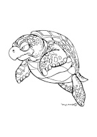 tortudemer