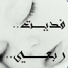 نور القلوب