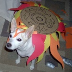 amaterasu