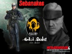 Sebsnakes