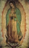 LA VIRGEN DE GUADALUPE
Patrona de México
y Emperatriz de las Américas

FIESTA: 12 de diciembre

"Confiamos a Santa María de Guadalupe, Patrona de México y de todo  el continente, el destino de los pueblos americanos y de su nueva evangelización"
-Juan Pablo II, enero 1999.