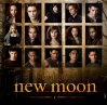 New Moon Newmoo10