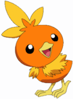 Torchic