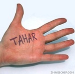 tahar76