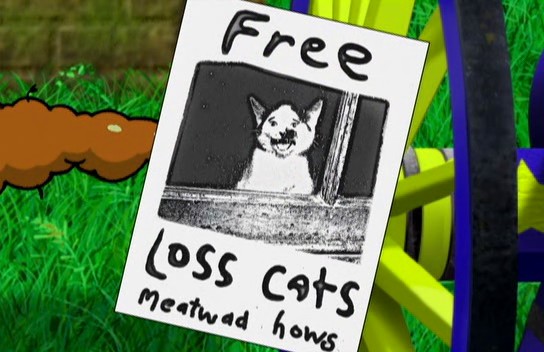 FREE LOSS CATS