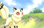 kirara