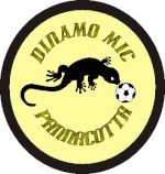 DinamoMic