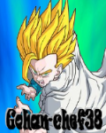 Gohan-chef38