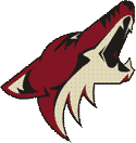 Coyotes Phoenix