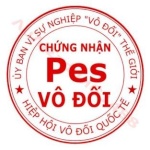 HoangViet9592