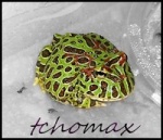 tchomax