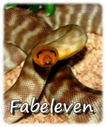 Fabeleven