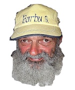 Barbu Q