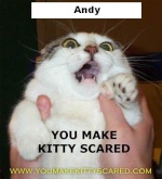 Andy