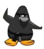 Club Penguin Pictures Cool_n11