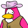 Club Penguin Pictures Cowgir10