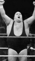 King Kong Bundy